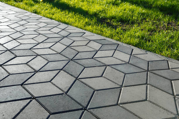 Best Driveway Paving Contractor  in Compo, CT